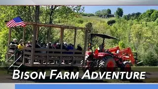 Carolina Impact: Bison Farm Adventures