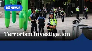 31yo man charged with terrorism offences over Invasion Day rally incident | ABC NEWS