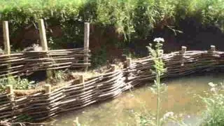 river bank spiling