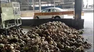 CRUSHER MACHINE FOR ALL TYPE OF COCONUT HUSK AND TENDER COCONUT HUSK CRUSHING -9842255179,9344377822