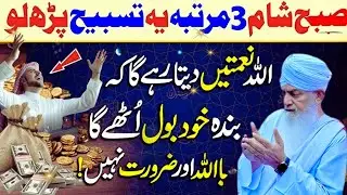 Subha Sham 3 Martba Ye Tasbeeh Parh Lo by Peer Zulfqar Ahmad