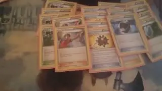 Yanmega BREAK Vespiquen Deck Profile