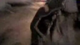 2 manelari projti
