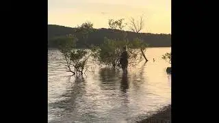 Joe Bald Park Fishing 
