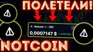 СВЕРШИЛОСЬ! NOTCOIN ПАМПИТ НА 40% ПОСЛЕ ВНУШИТЕЛЬНЫХ ПЛАНОВ ОТ ALPHATON! РАЛЛИ БЫКОВ NOTCOIN!