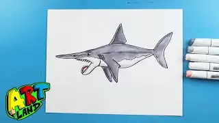 How to Draw a Heliocoprion