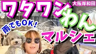 WHATAWON(ワタワン)初！犬のマルシェイベントが大雨でも楽しすぎた🐶【全天候型 大型複合施設】大阪府岸和田市