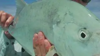 Fly Fishing for Trevally - Leland Fly Fishing Outfitters