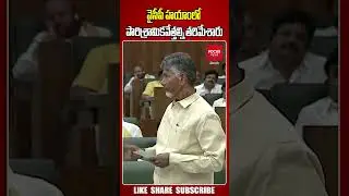 వైసీపీ హయాంలో పారిశ్రామికవేత్తల్ని తరిమేశారు..|  AP Assembly Session 2024 | CM Chandrababu