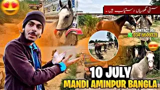 Mandi Aminpur Bangla 10 July New Update ( 🐴❤️)#viralvideo #viral #subscribe #information #youtube 