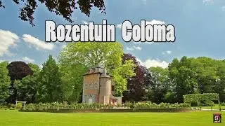 Rozentuin  Coloma   Full HD
