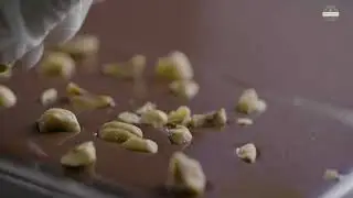 All about Rakkaudella Chocolates