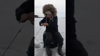 12 мая 2021 г.