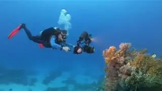 OrcaTorch D910V U/W Video Light - Neutral Buoyancy