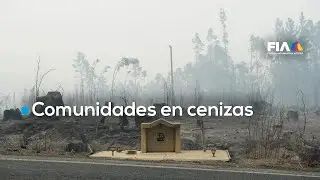 Chile arde sin control: incendios arrasan comunidades en Biob&iacute;o y &Ntilde;uble