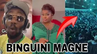 Binguini magne incroyable 