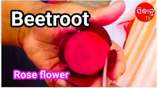 Beetroot Rose flower।।