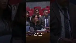 US vetoes UN Security Council call for Gaza ceasefire  #viralvideo