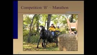 An Introduction to Combined Driving - Andy Marcoux