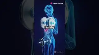 How Do Muscles Grow  Quick Guide!