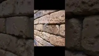The Best Optical Illusion #opticalillusions