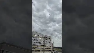 11 августа 2024 г.