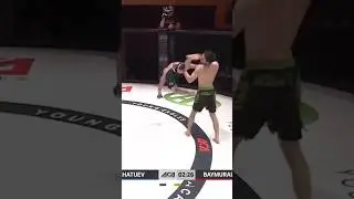 Jumping Spinning Hook Kick Knockout
