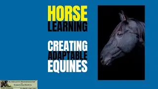 Transform Your Equine Training: Tips for Creating Adaptable Horses!