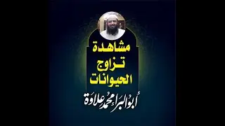 64 -  حكم مشاهدة تزاوج الحيوانات- سؤالات صراحة-