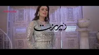Zebtan brand new collection