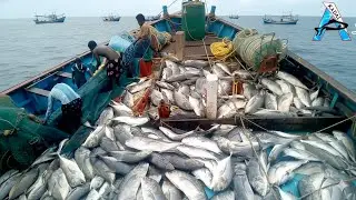 UNBELIEVABLE Monster Fishing! Tons of Giant Trevally in One Catch #MonsterFishing #TrevallyFishing