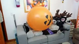 Happy furry balloon Halloween!