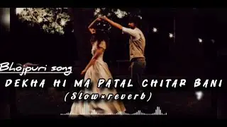 Dekha Hi Ma Patal Chitar Bani Songs || Bhojpuri Songs|| In lofi