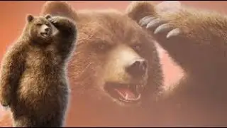 Tekken 7 Kuma Story