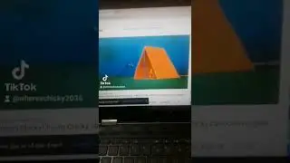 anrgy chicky camping