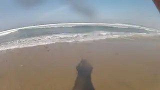 First Time Surf Fishing!