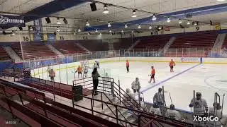 Reapers vs Wiener Dogs 11/16/2025
