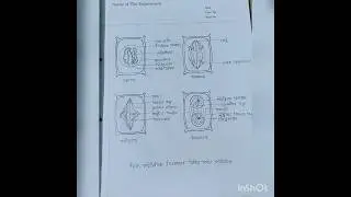 #video # Biology 1st paper practical   #hsc -2023 & 2024   🔹