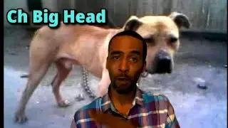 The Chico Lopez Dream killer Ch Big Head
