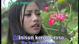 Lya variesta   Getun