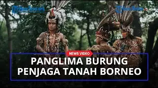 KESAKTIAN Panglima Burung, Penjaga Tanah Borneo yang Dipercayai Suku Dayak