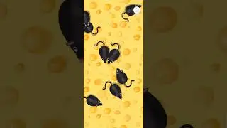 012 ANIMAL GAMES | MAINAN KUCING TIKUS #mainankucing #cat #catgames #kucing #kucinglucu #shorts