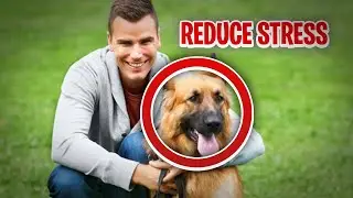 Why Owning a PET Can Help Keep Your Stress Low!