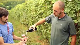 Colombera & Garella