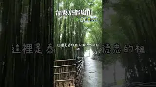 🌿 台版京都嵐山的秘境美景｜苗栗泰安烏嘎彥竹林 #烏嘎彥 #竹林祕境 #苗栗泰安 #竹林#苗栗景點