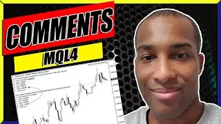 How To Program Comments On MQL4
