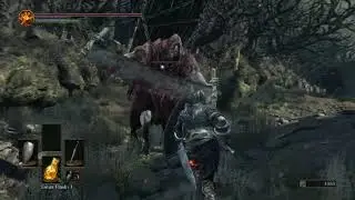 Enemy Lock-on is hitting different - Dark Souls 3