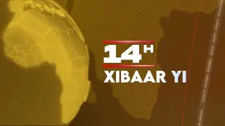 Xibaar Yii 14h00 du Dimanche 01 Février 2026 Avec Abdoulaye Bop Sur Walf Tv