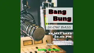 Dede Si Janda Montok Bang Bung Ins Remix