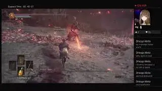 Dark souls but it does not matter anymore